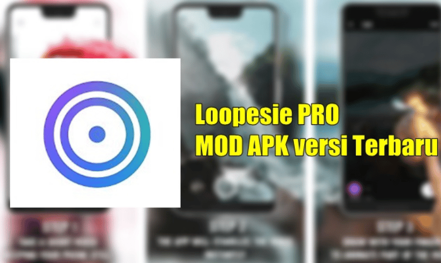 Loopsie Pro Mod Apk