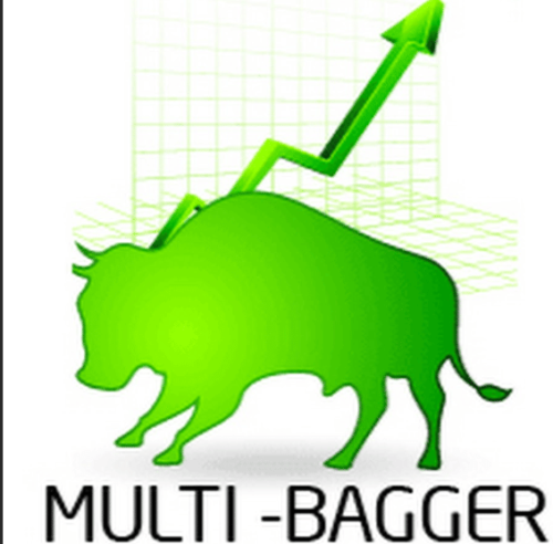 cara mencari saham multibagger