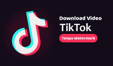 TikTok No Watermark Apk